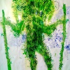 Warrior against futility