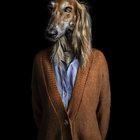 Pashik Number Eleven