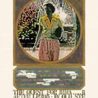 The Quest for Irma II