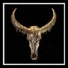 Dripping Gold Skull on Black Diamond Dust 