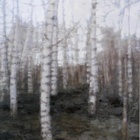 Birch, autumn (12)