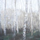 Birch, spring (13)