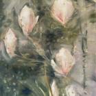 Magnolias (Through the Glass 03)