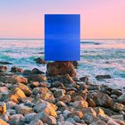 In the Wild: Palos Verdes