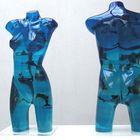 The Origin of Species