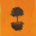 Watch Falling Acorns