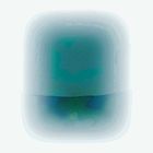 Fragments of Wild #2