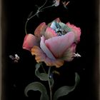 Lover's Black Eye - Hand Varnished Print