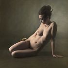 Sparrow, delight of my girl