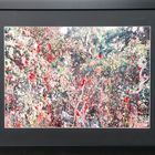 Painting the Roses Red