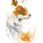 The Winter Fox