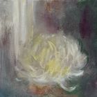 Chrysanthemum (March)