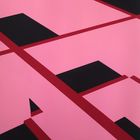 REDUCED INTERIOR - Pink, Red and Black