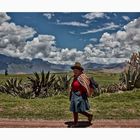 The green valley of Urubamba