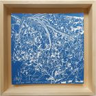 10. 07. 2015. 11h 47. les petits riens / série herbes sages et folles / lumière solaire.