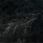 Les eaux sombres #01