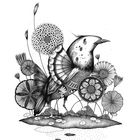 Le séducteur de Papouasie