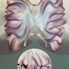 We are allowed to woder