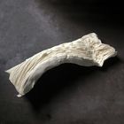 Compression feuille n° 19