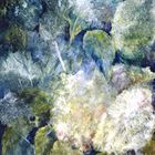 La danse des hortensias