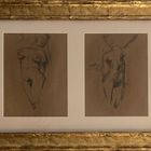 Dessins de nus en or