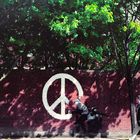 Keep the Peace (CND soldiers) - Banksy