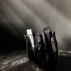 Compression feuille n° 17