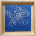 16. 08. 2015. 13h 49. Les petits riens - série herbes sages et folles