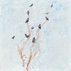 Les Etournaux dans mon Saule