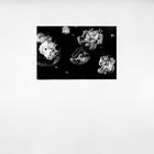 Lcd helio gravure II