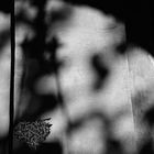 Poetic heart hug me 2