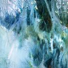 Le chemin des ombres bleues