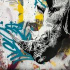 Rhino On The Wall