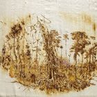 Amazonia (brûlages du soleil)