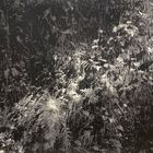 The Gleam Of Light Which Flashes Across Our Mind From Within