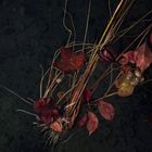 les eaux sombres N°15