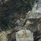 Dans le bois - Laboureur