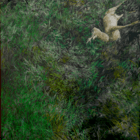 Dans-le bois - Chevreuil