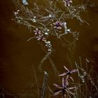 Les Eaux sombres #12