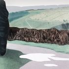 Landscape with White Puddle