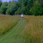 Untitled (Hunter in meadow, still from We Share a Paradise)