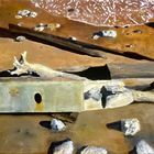 DEBRIS AFTER THE STORM