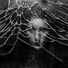 Broken Mirror Portrait 1