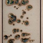 Terra Cognita. Cenote