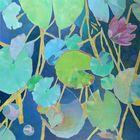 La valse des nénuphars