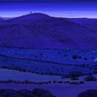 Between dog and wolf