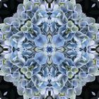 Appreciation Mandala #5