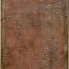 we belong to the earth