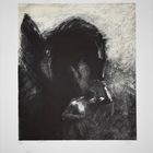 Pégase Captif, 1889 / Captive Pegasus, 1889