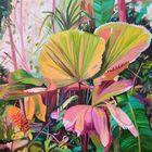 Le soleil sur les feuilles éblouit